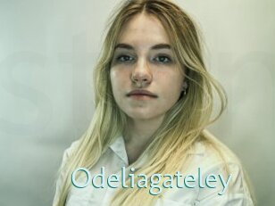 Odeliagateley