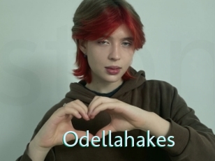 Odellahakes