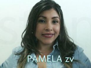 PAMELA_zv
