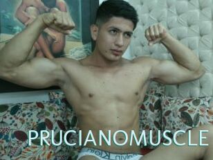 PRUCIANOMUSCLE