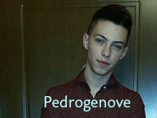Pedrogenove