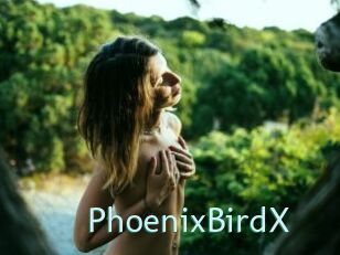 PhoenixBirdX