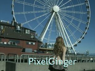 PixelGinger