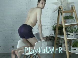 PlayfulMrR