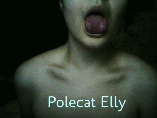 Polecat_Elly