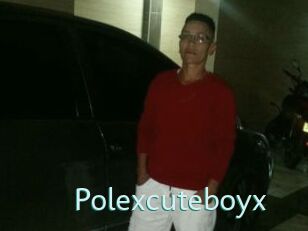 Polexcuteboyx
