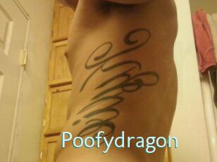 Poofydragon