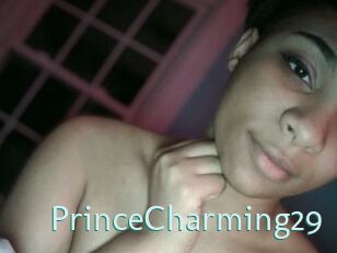 PrinceCharming29