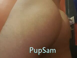 PupSam