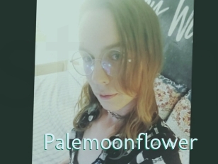Palemoonflower