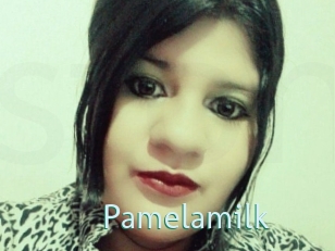 Pamelasuite