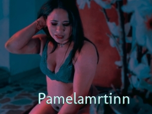 Pamelamrtinn