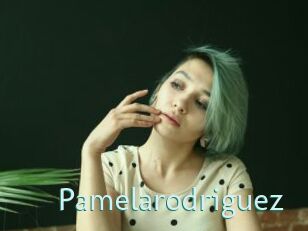 pamelarodriguez Straponles