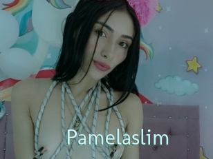Pamelaslim