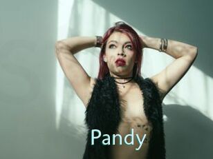 Pandy