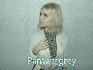 Panthergrey