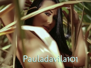 Pauladavila101
