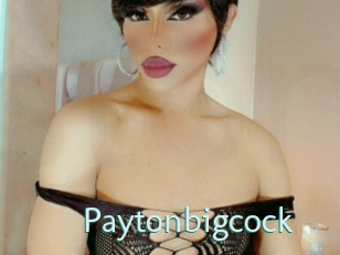 Paytonbigcock