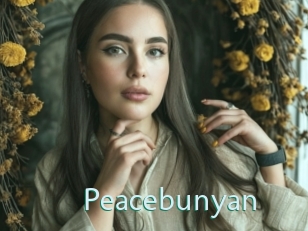Peacebunyan