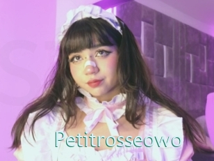 Petitrosseowo
