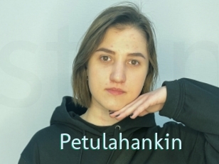 Petulahankin
