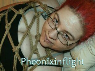 Pheonixinflight