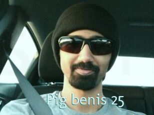 Pig_benis_25