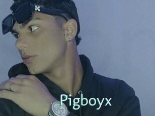 Pigboyx