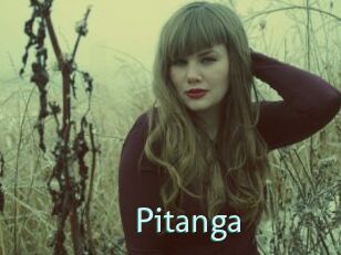 Pitanga