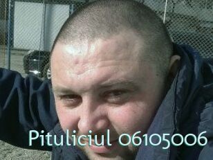 Pituliciul-06105006