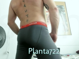 planta722 Straponles