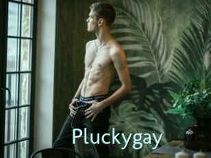 Pluckygay