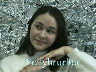 Pollybrucker