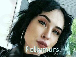 Pollymurs