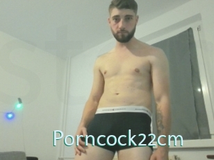 Porncock22cm