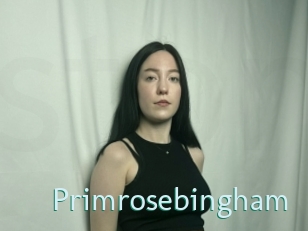 Primrosebingham