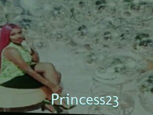 Princess23