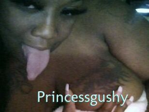 Princessgushy