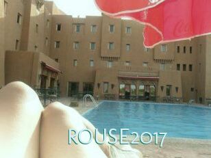 ROUSE2017