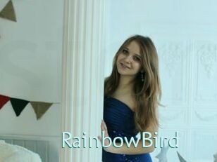 RainbowBird