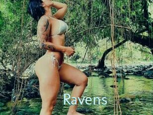 Ravens