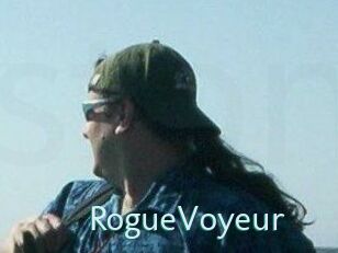 RogueVoyeur