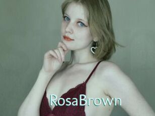 RosaBrown