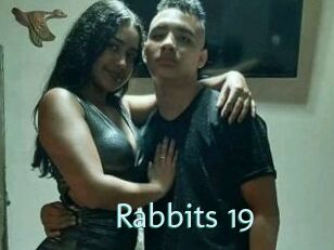 Rabbits_19