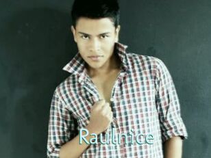 Raulnice