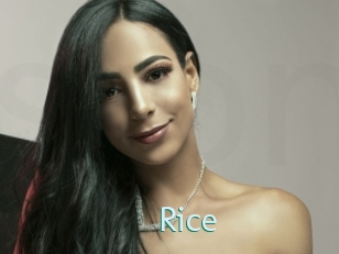 Rice