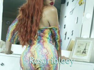 Rosarioleey