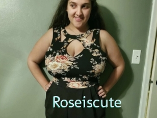 Roseiscute