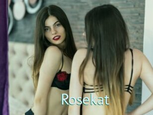 Rosekat