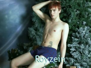 Royzein